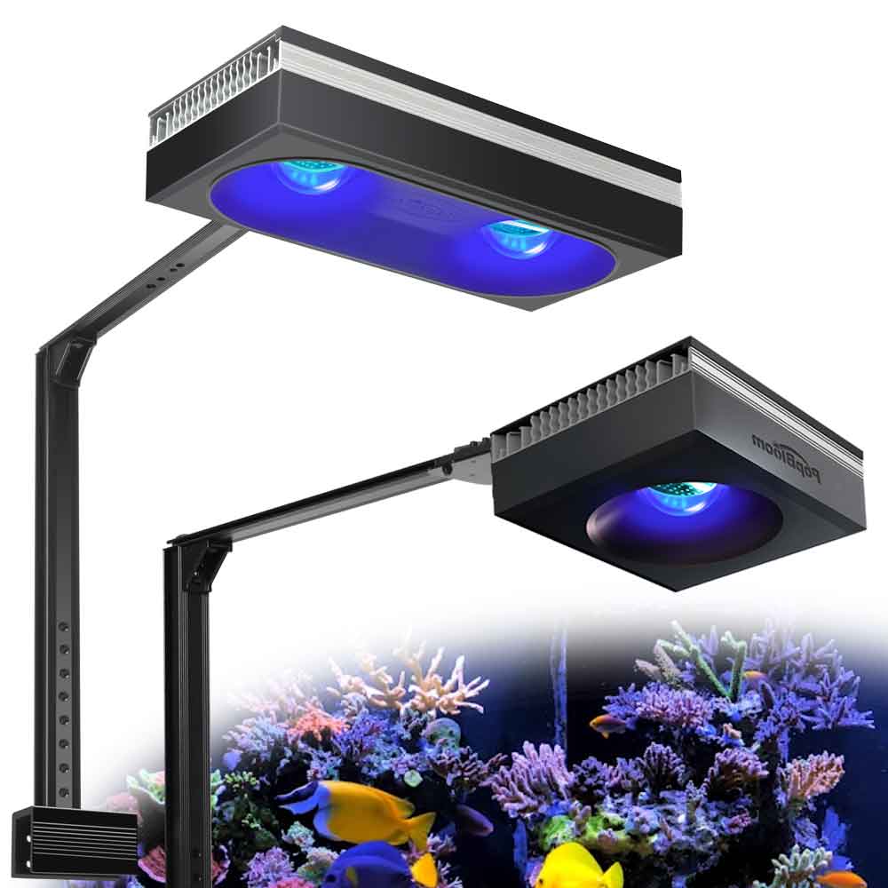 PopBloom-luz de acuario con Wi - Marine X Aquarium reseña y precio