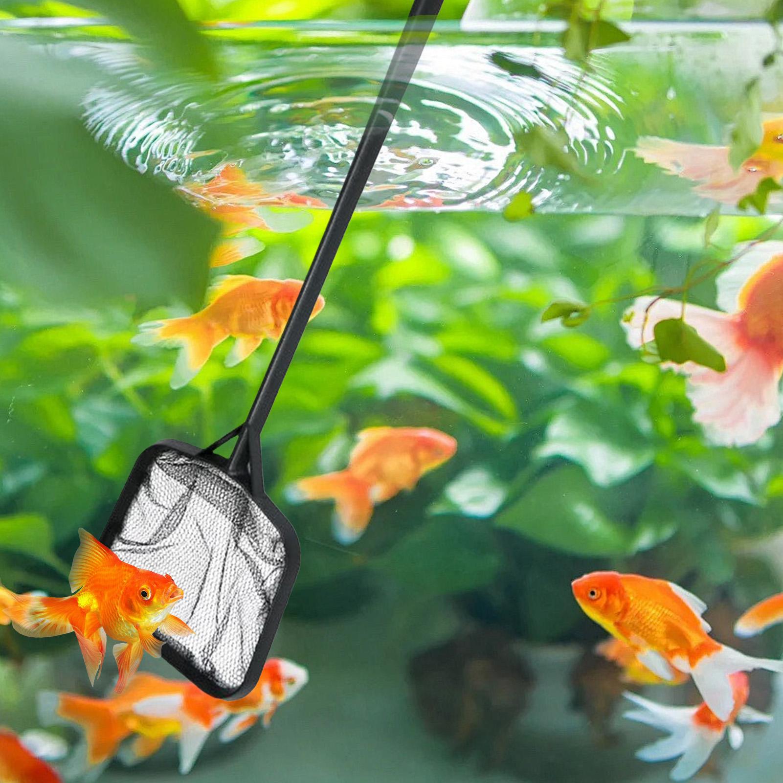 Redes de limpieza para piscina - Aquarium Marine reseña y precio