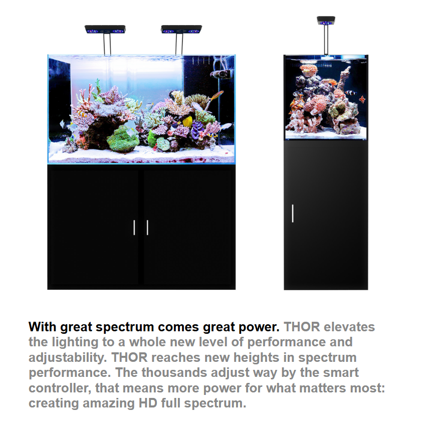 Lámpara LED inteligente de esp - Marine X Aquarium reseña y precio