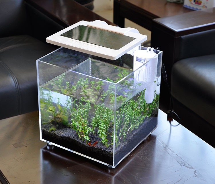 Mini Acuario de Acrílico (25*2 - Aquarium Marina reseña y precio