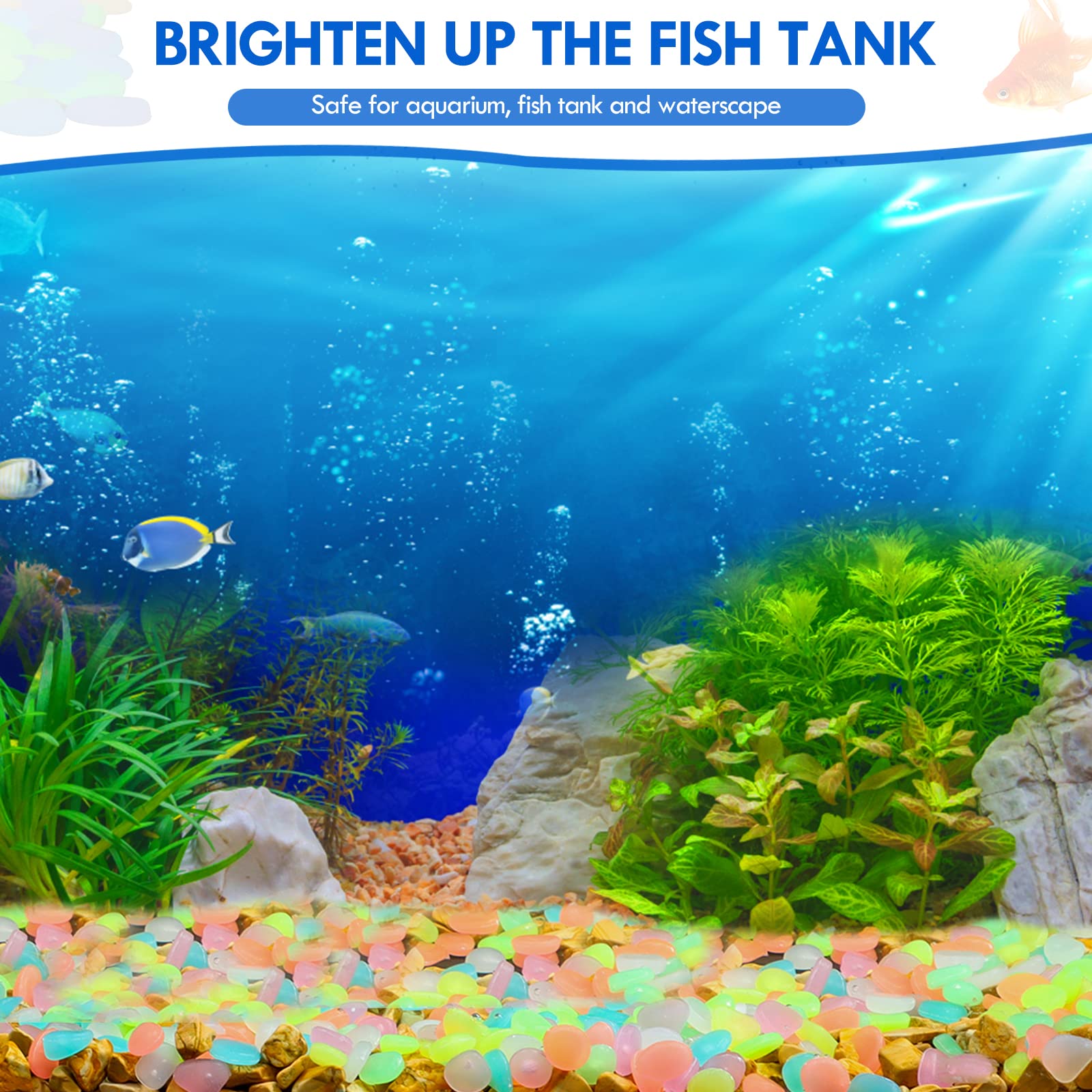 100 Uds. De guijarros que bril - Aquarium Marine Tank reseña y precio
